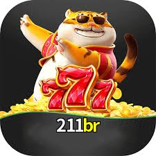 211br